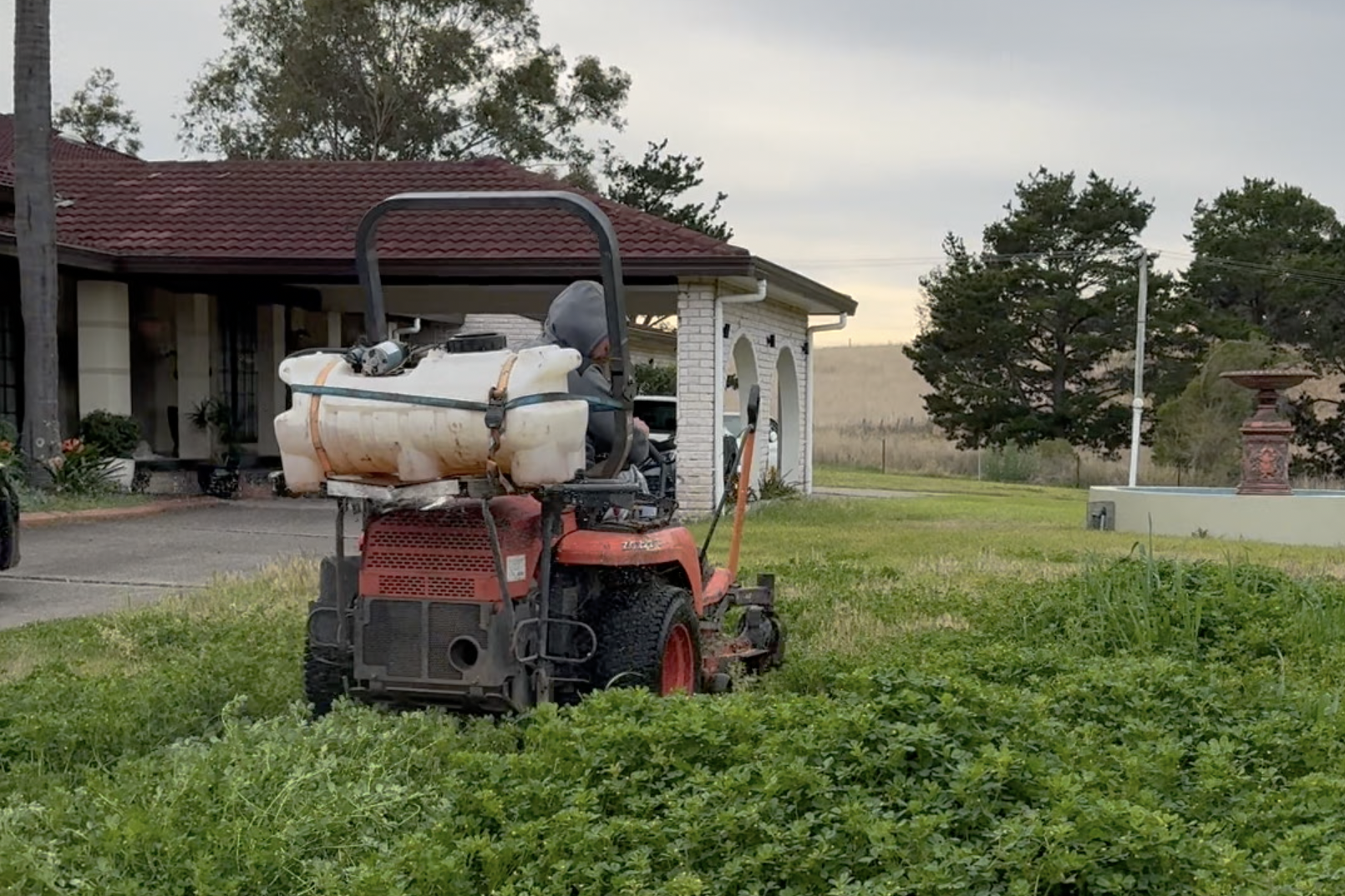 Spring Weed Spraying Australia | Weed Control Services Sydney