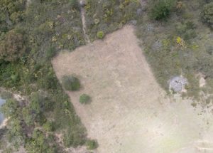 land clearing Sydney Land Clearing & Forestry Mulching Sydney