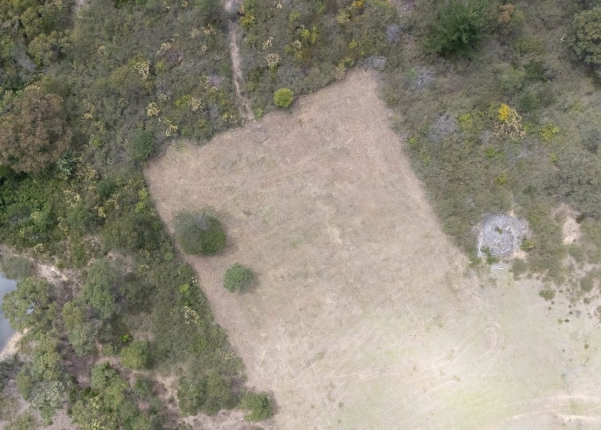 land clearing Sydney Land Clearing & Forestry Mulching Sydney​